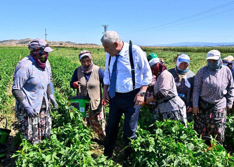 Bugün çiftçi kardeşlerimizle hasatta beraberdik. Tarlasını ekenin yüzü gülsün, alın teri yerde kalmasın...