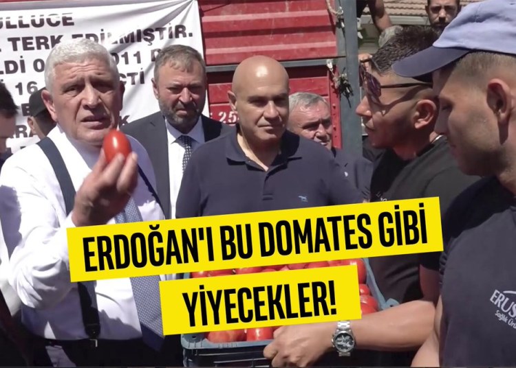 Millet sandıkta iktidarı işte böyle yiyecek!